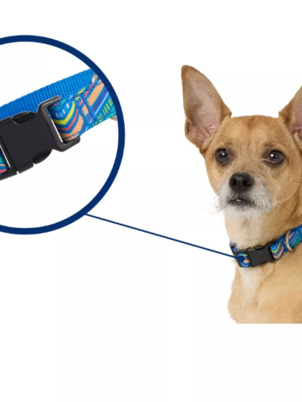 Top Paw® Retro Striped Dog Collar